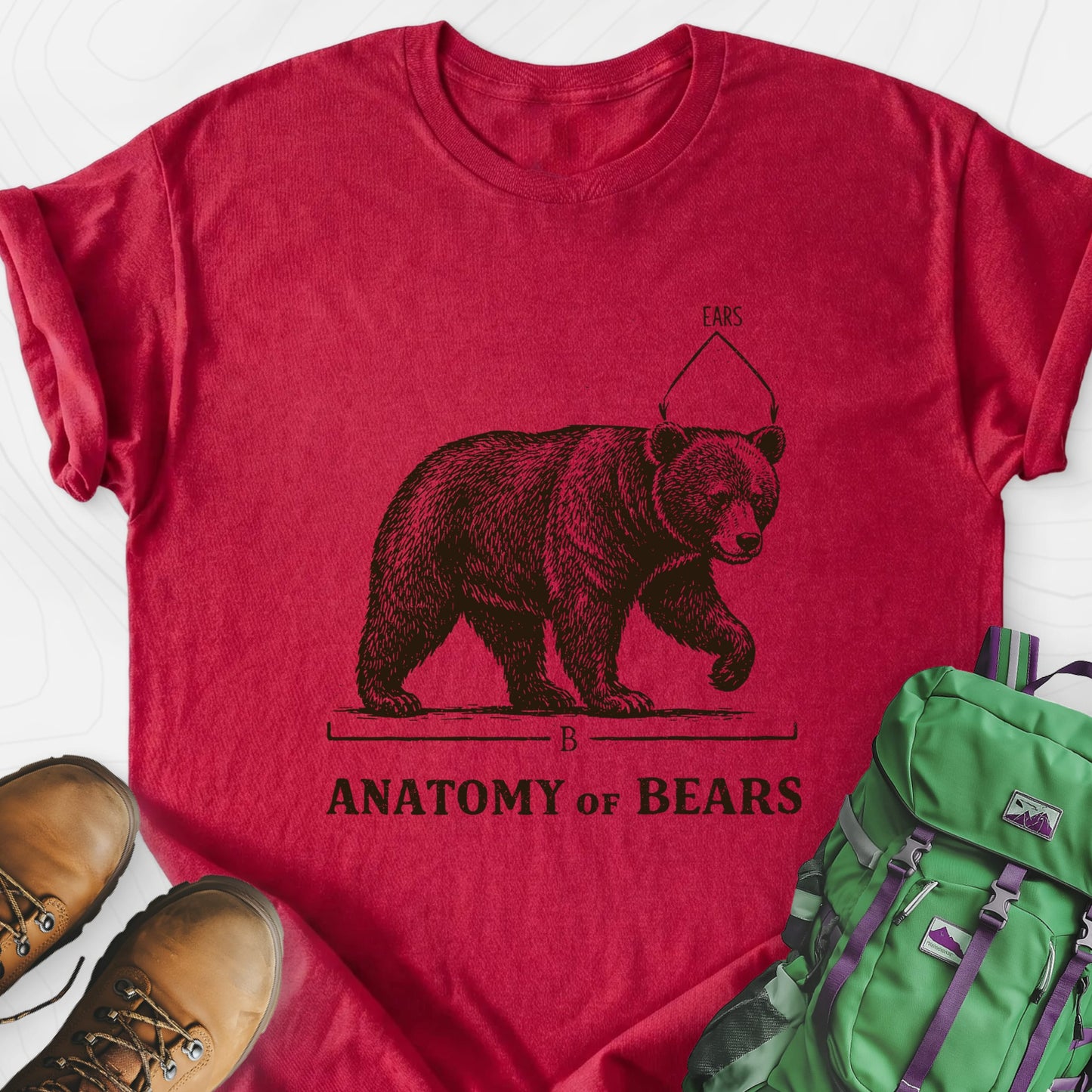 Bear Anatomy Heather Red front print lightweight T-shirt