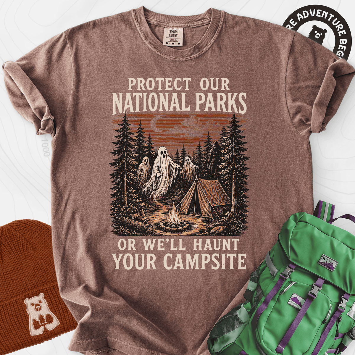 Haunted National Parks Espresso front print heavyweight T-shirt