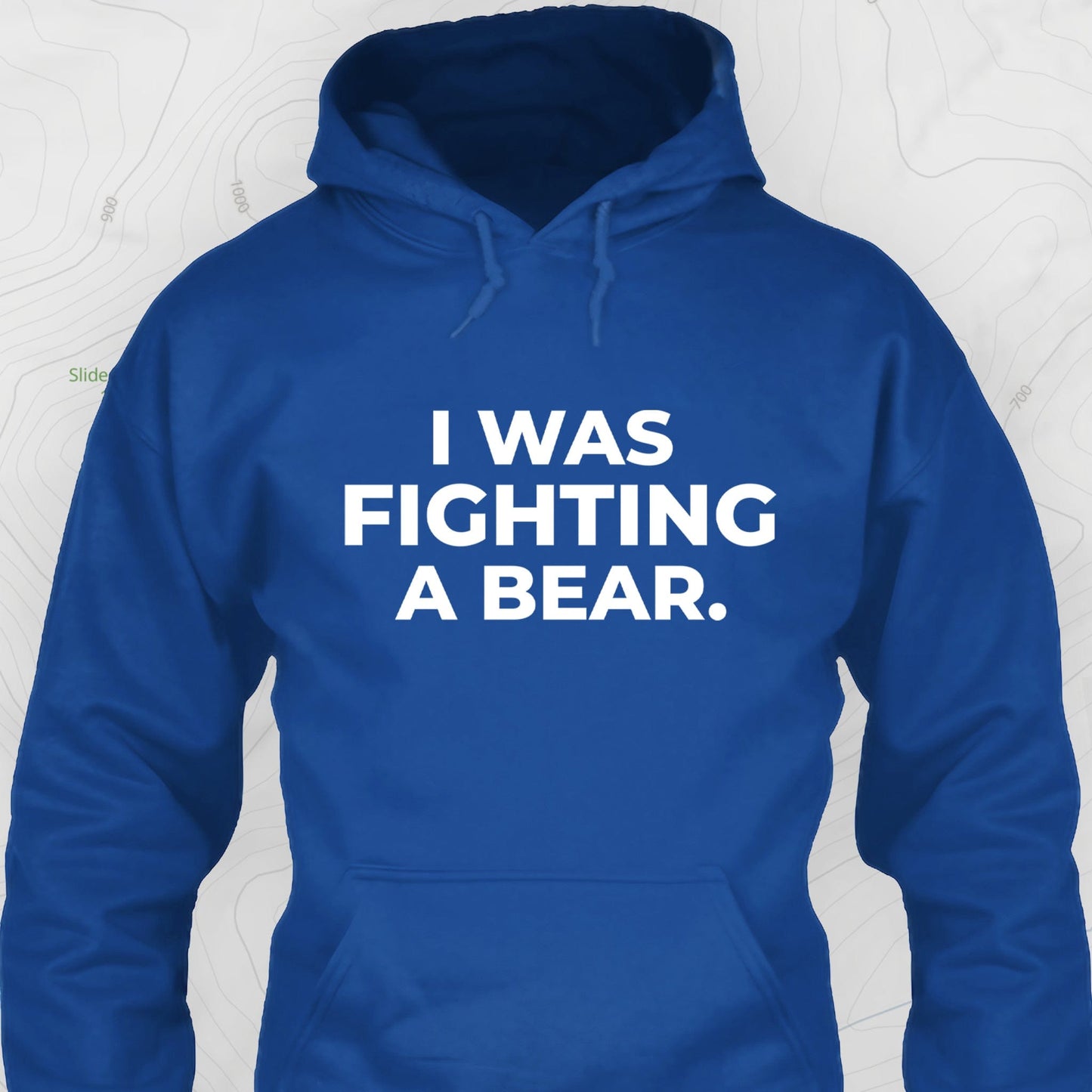 I Was Fighting a Bear Hoodie