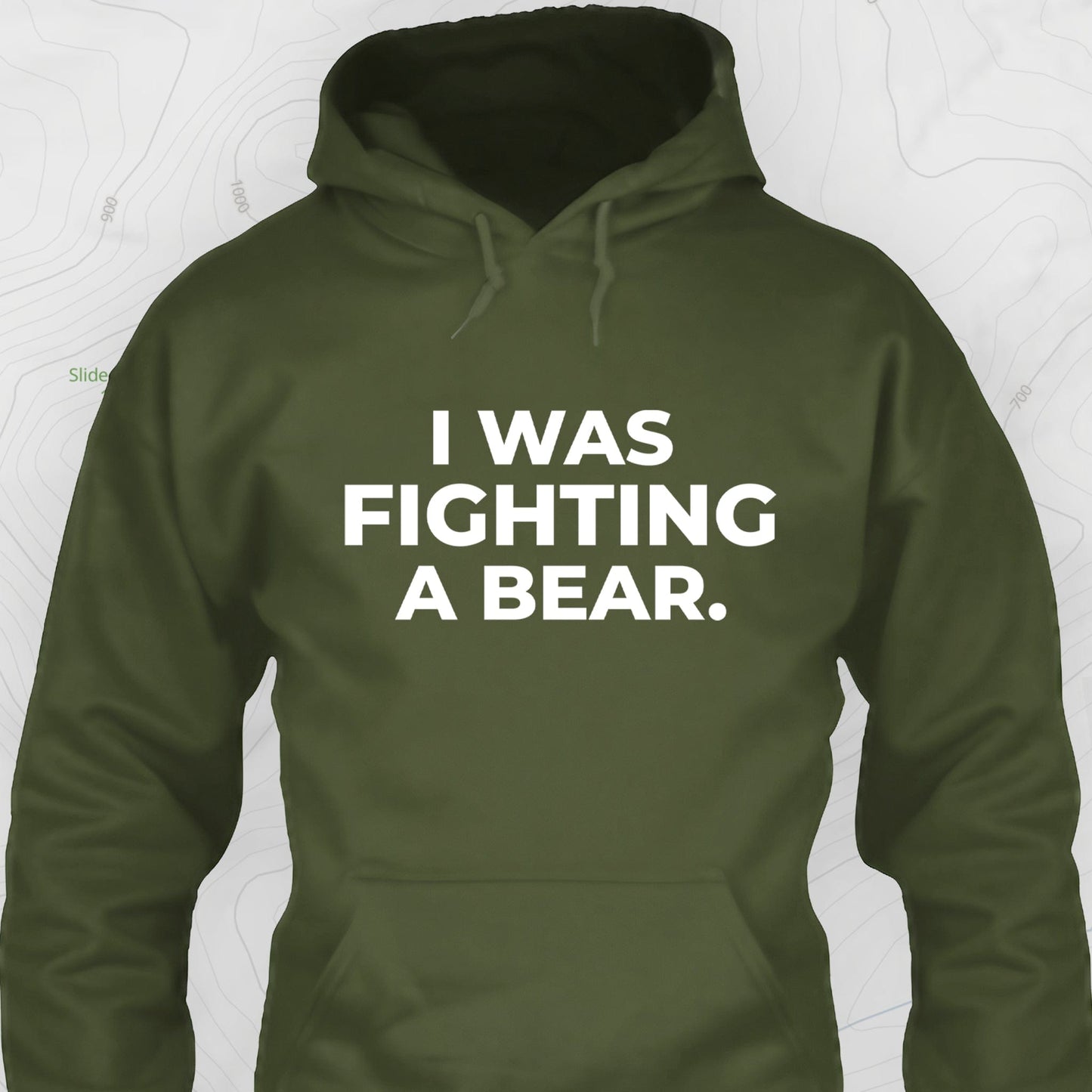 I Was Fighting a Bear Hoodie