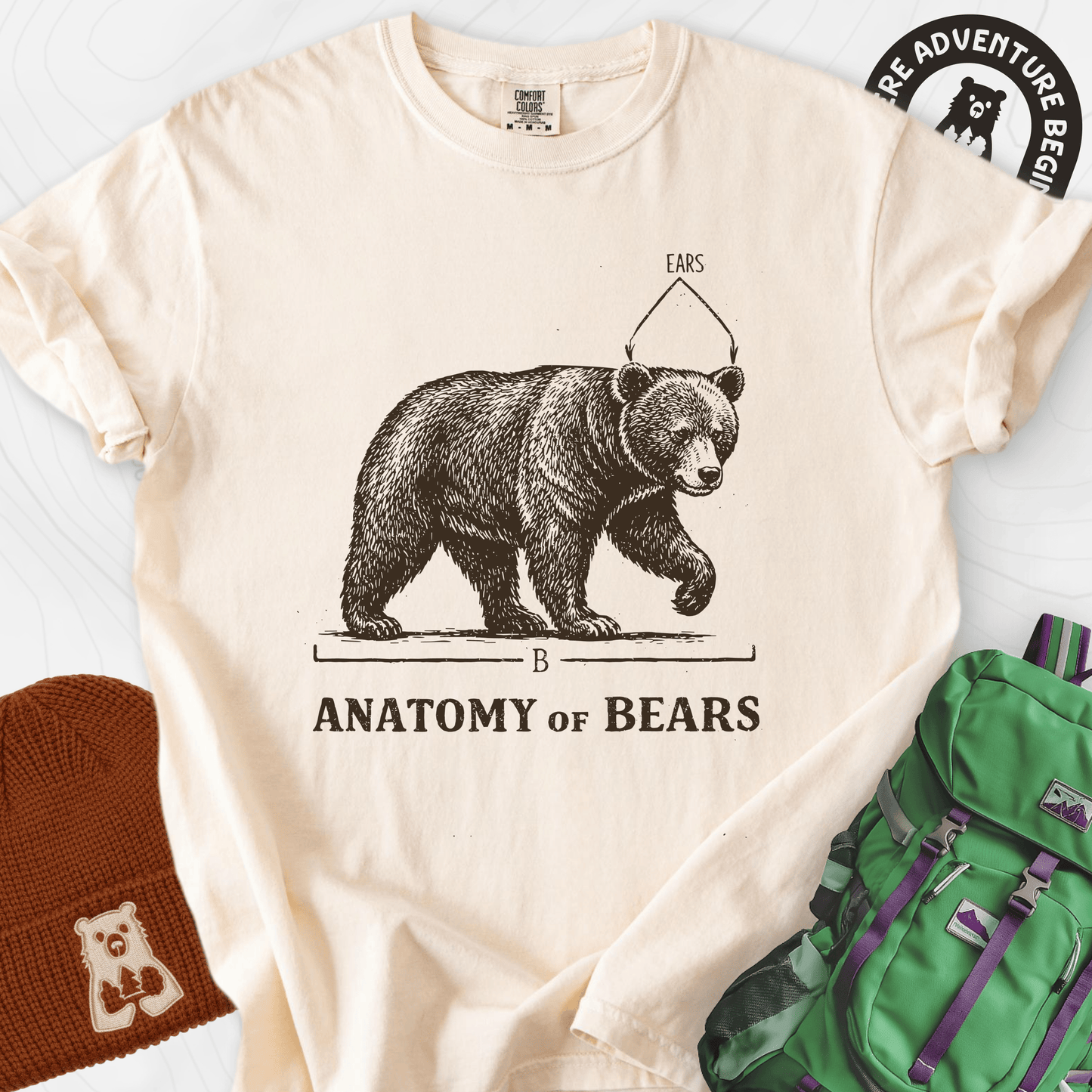 Bear Anatomy T-Shirt