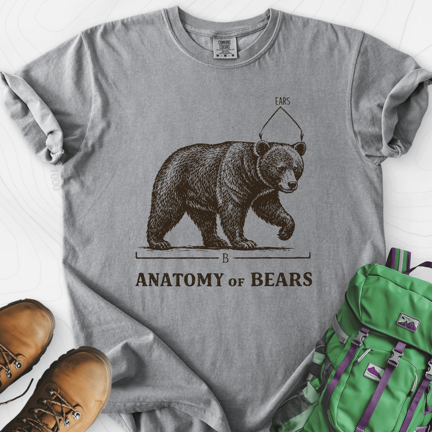Bear Anatomy T-Shirt