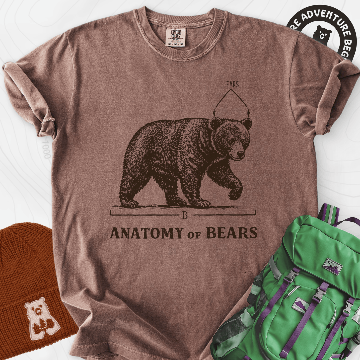 Bear Anatomy T-Shirt