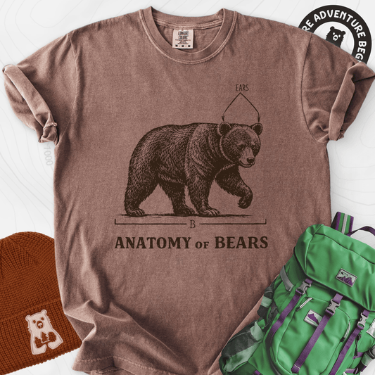 Bear Anatomy T-Shirt