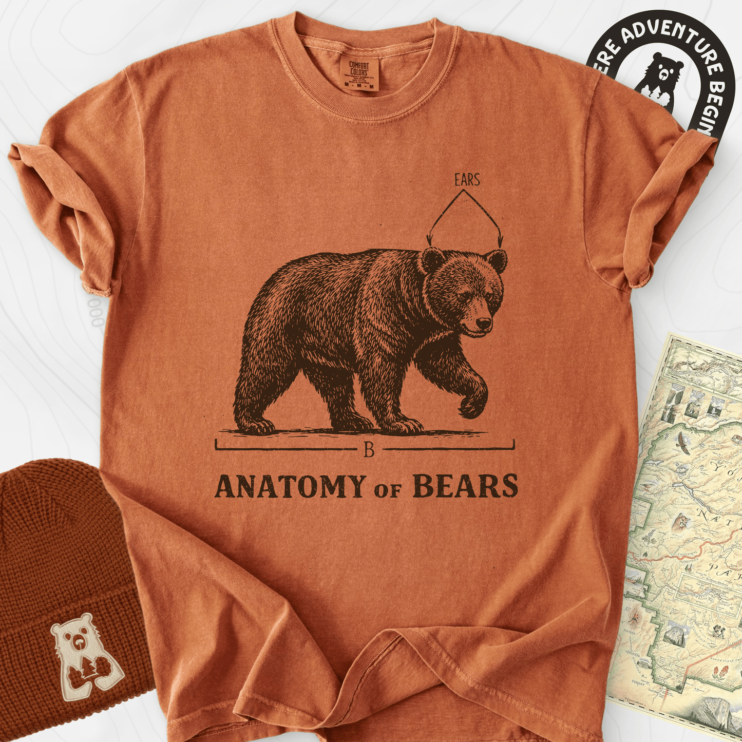 Bear Anatomy T-Shirt