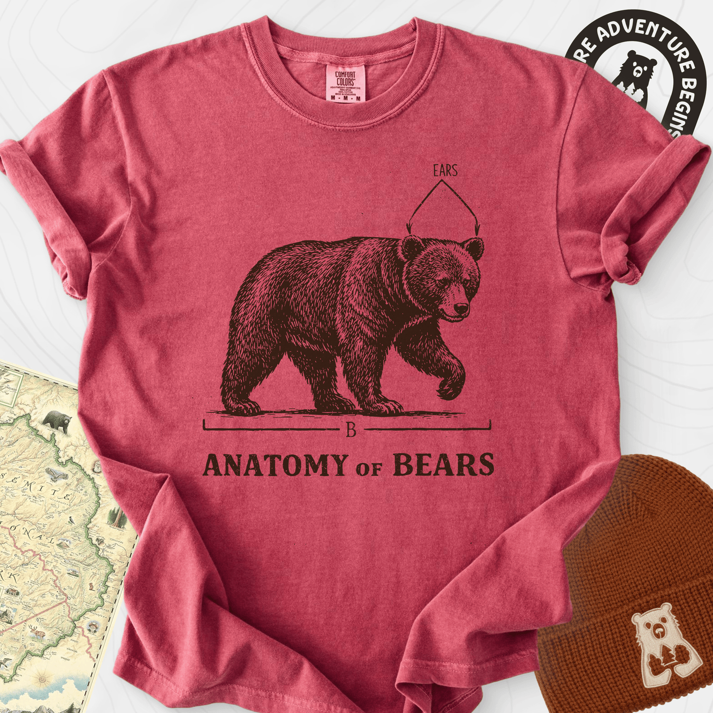 Bear Anatomy T-Shirt