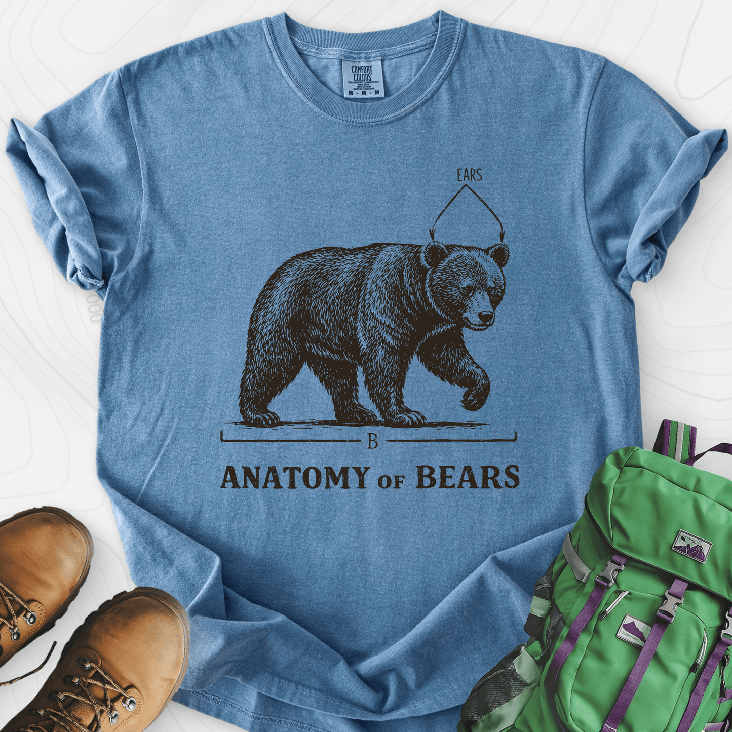 Bear Anatomy T-Shirt