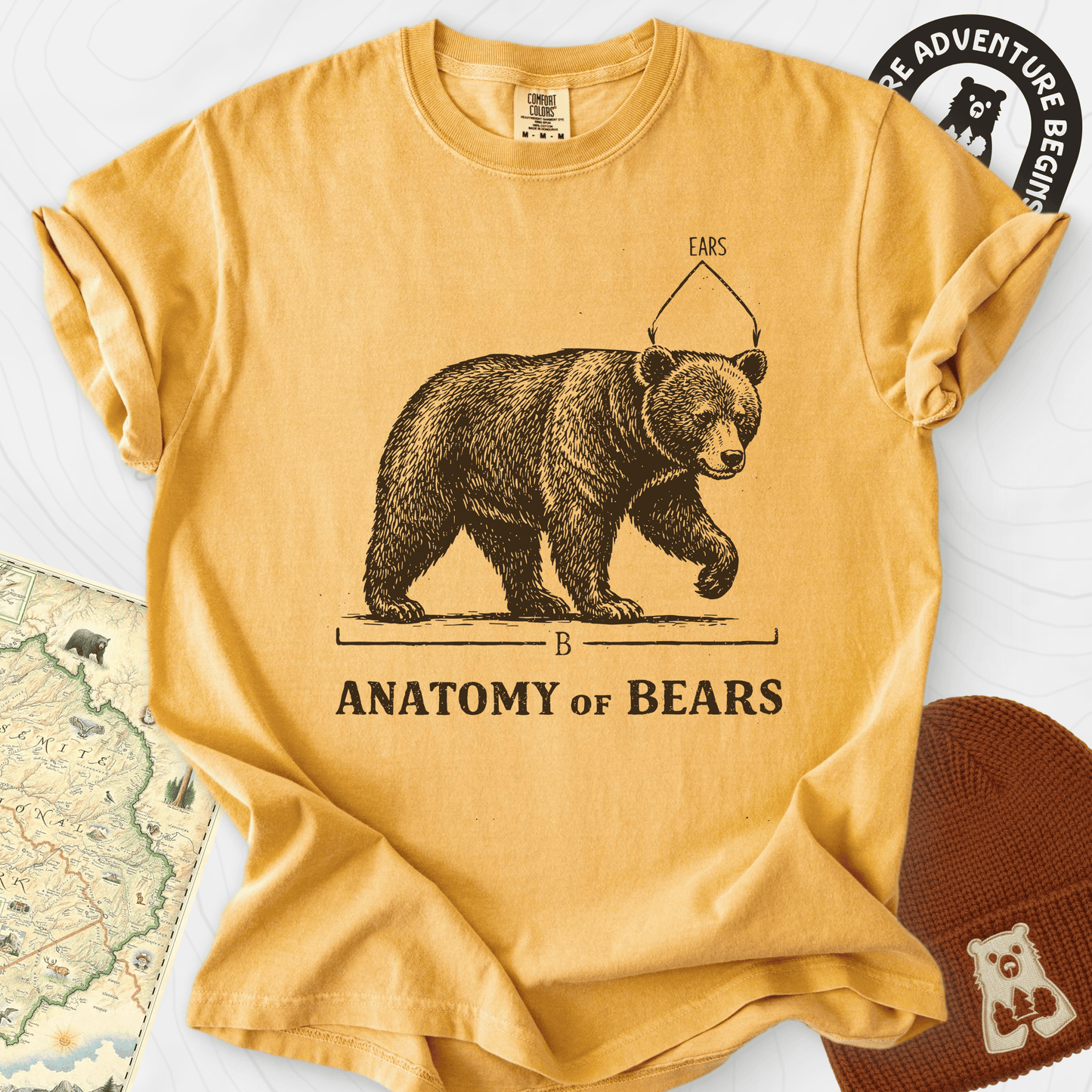 Bear Anatomy T-Shirt