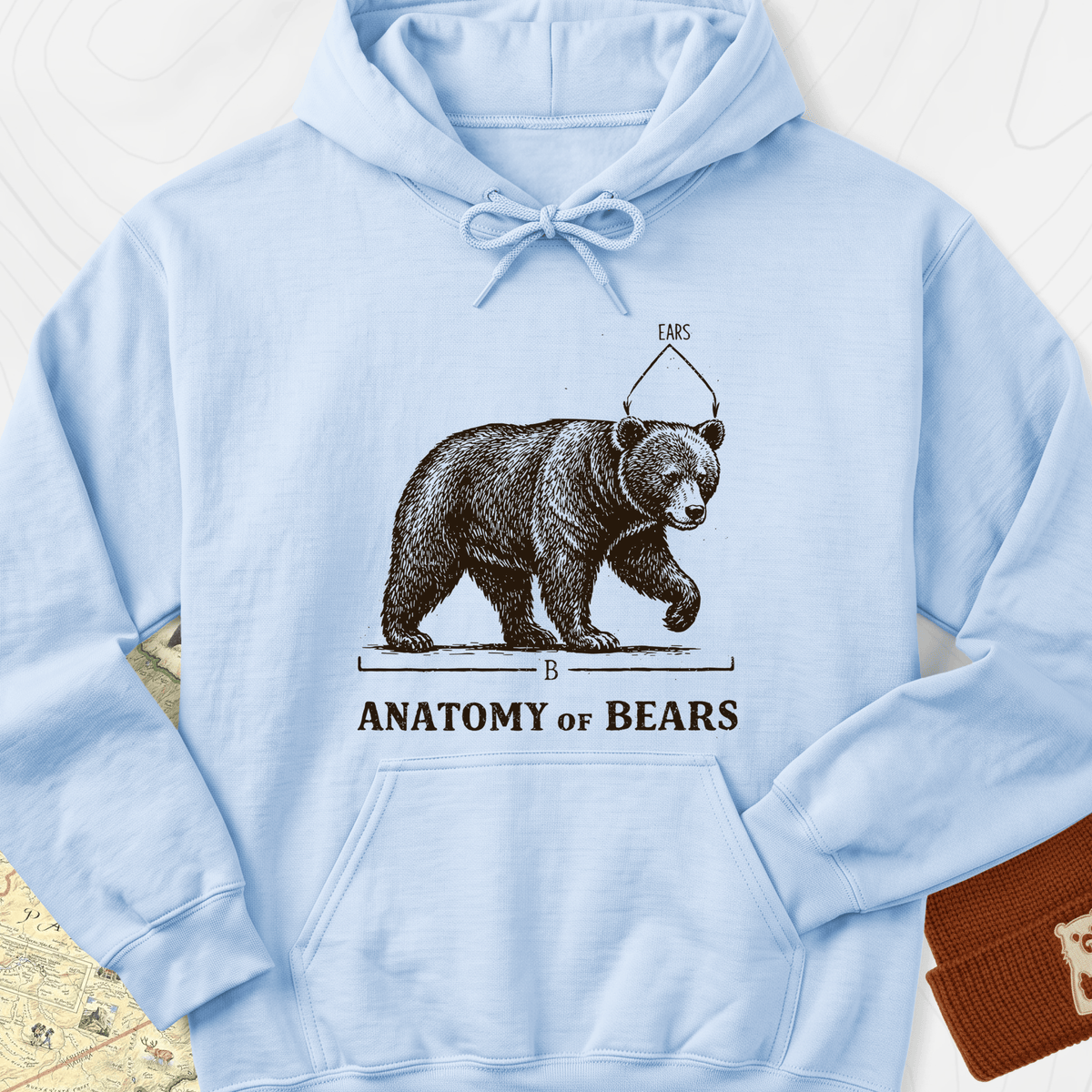Bear Anatomy Hoodie - Light Blue