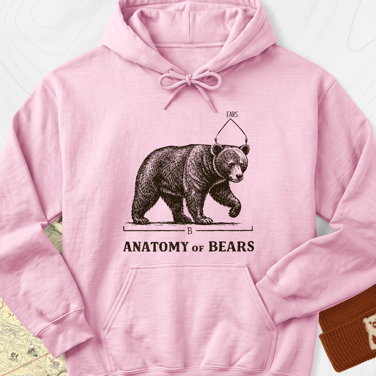 Bear Anatomy Hoodie - Light Pink
