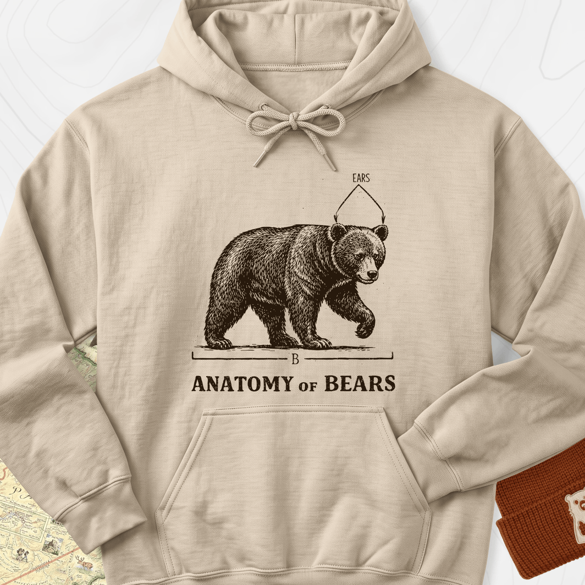 Bear Anatomy Hoodie - Sand