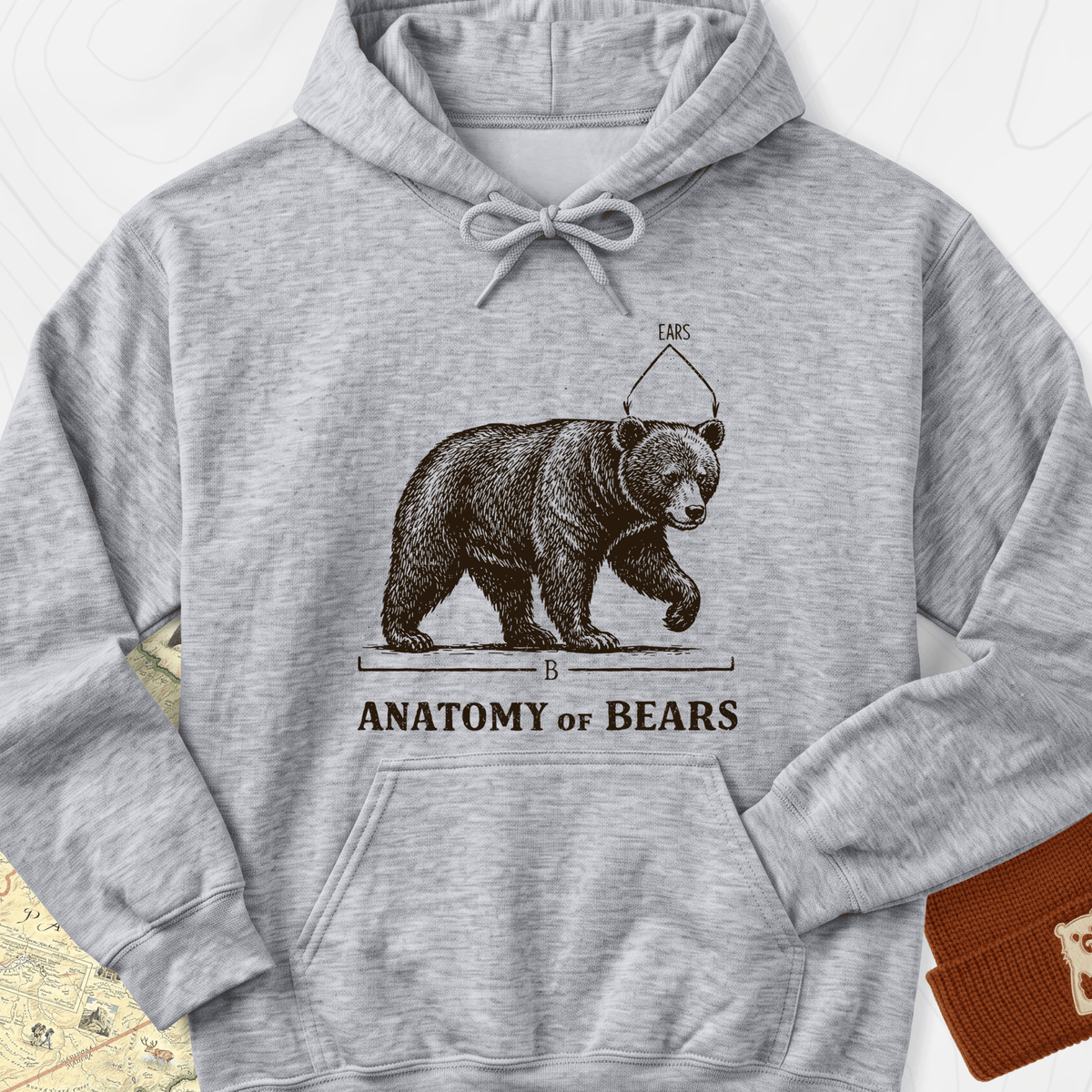 Bear Anatomy Hoodie - Sport Grey