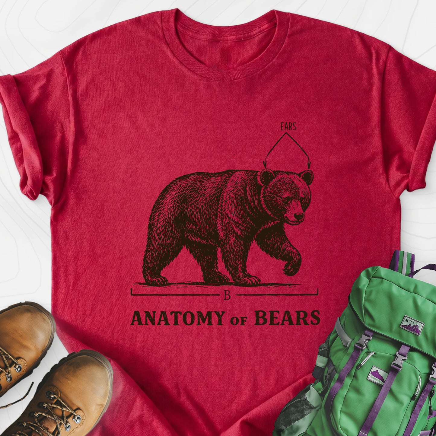 Bear Anatomy Heather Red front print lightweight T-shirt