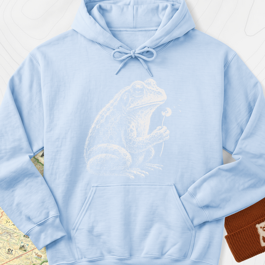 Frog Wish Hoodie - Light Blue