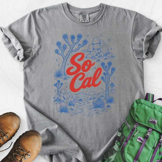 SoCal Desert Grey front print heavyweight T-shirt