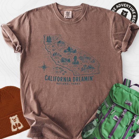 California Park Dreamin' Espresso front print heavyweight T-shirt