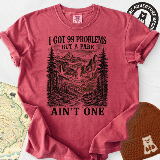 99 Problems Crimson front print heavyweight T-shirt