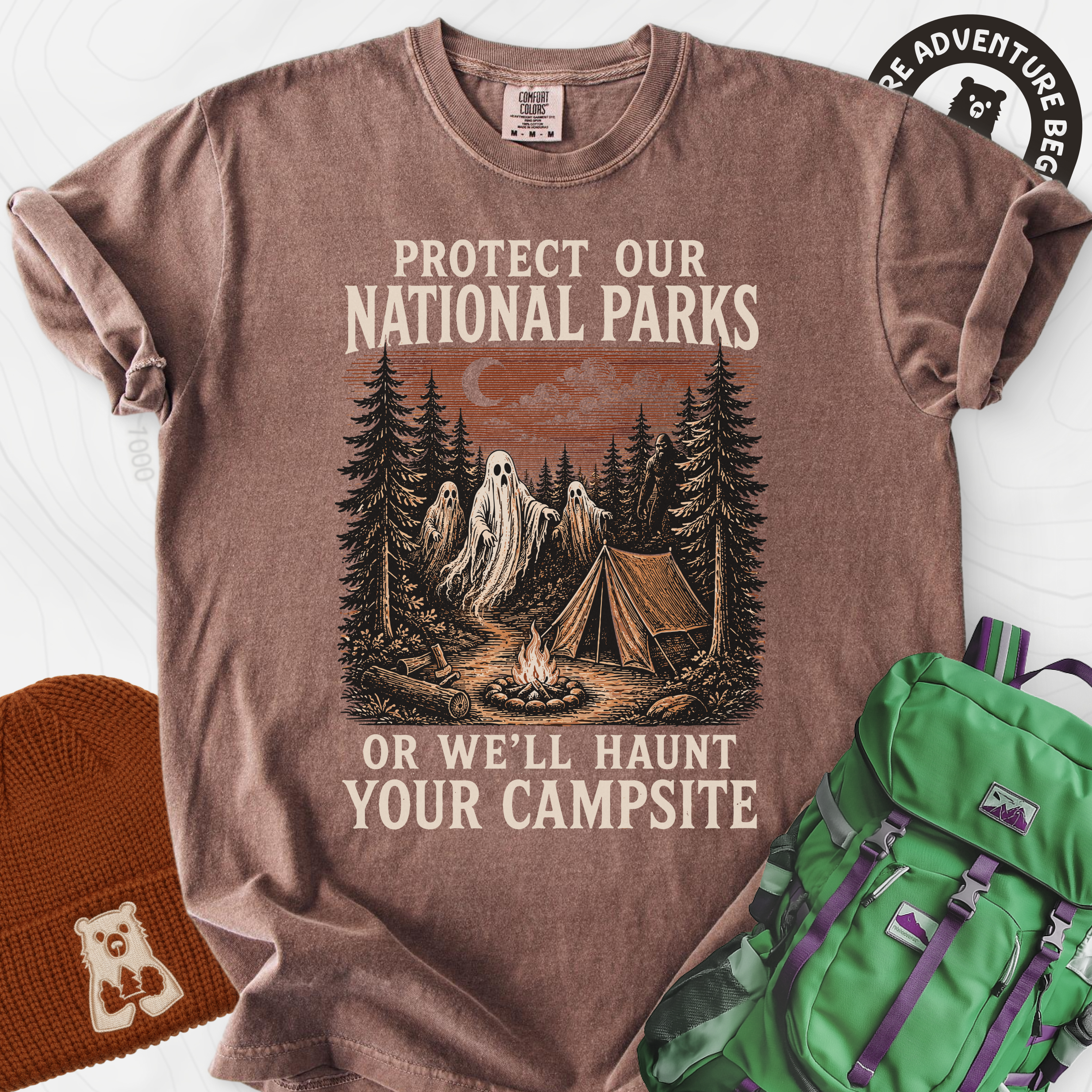 Haunted National Parks Espresso front print heavyweight T-shirt