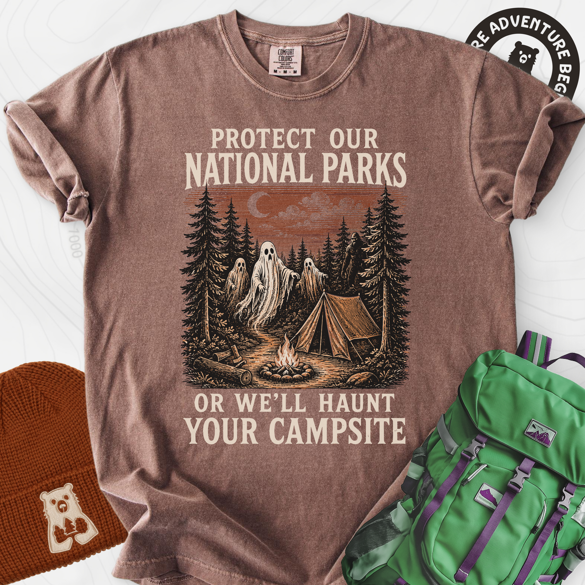Haunted National Parks Espresso front print heavyweight T-shirt