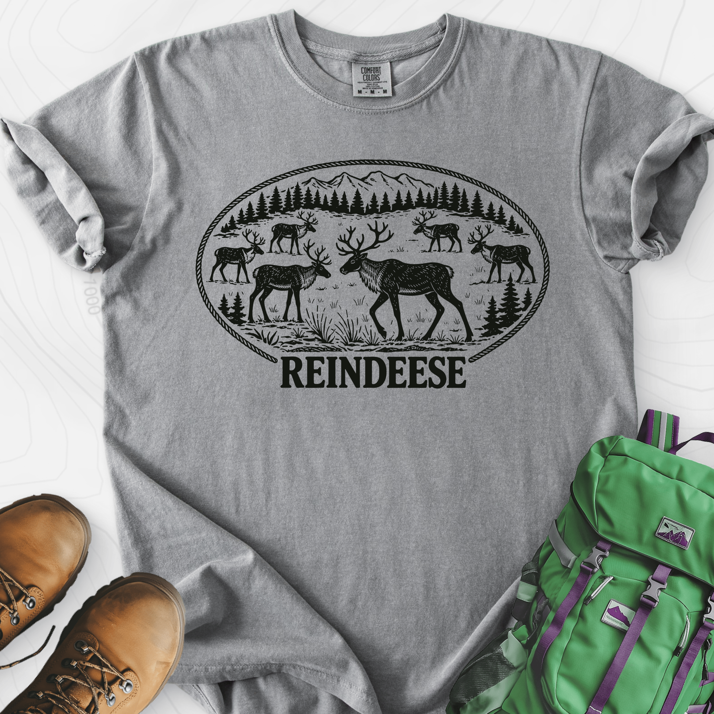 Reindeese Christmas Grey front print heavyweight T-shirt