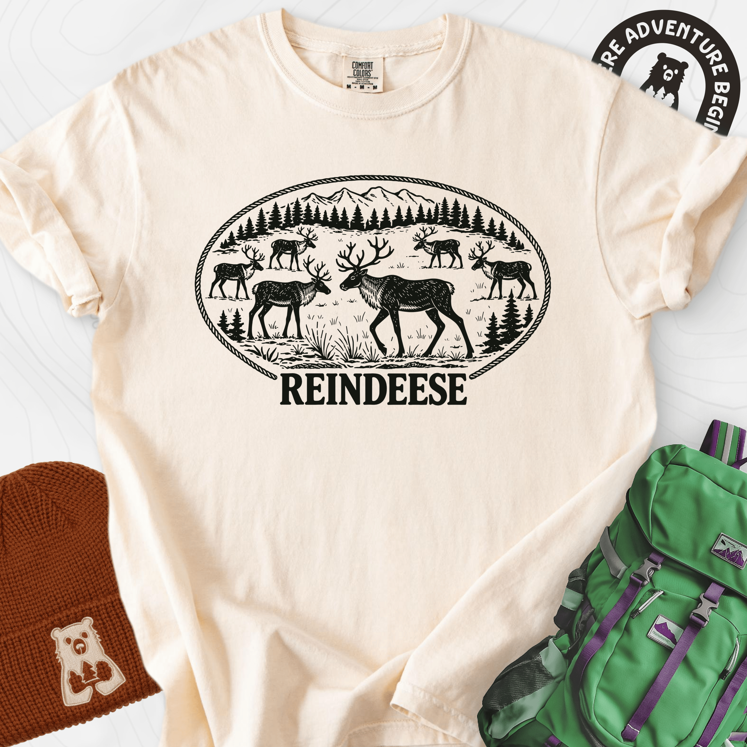 Reindeese Christmas Ivory front print heavyweight T-shirt